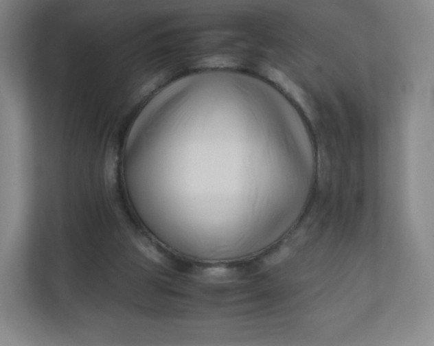 X0000110770153200906291055