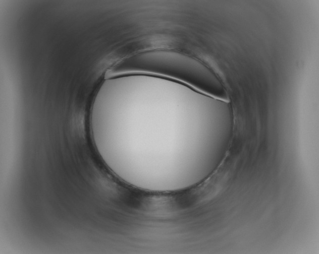 X0000110770154200906291055