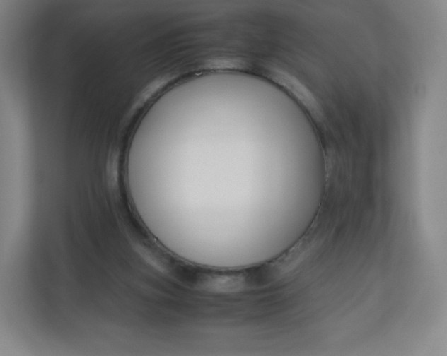 X0000110770155200906291055