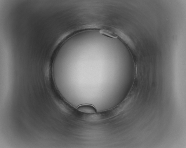 X0000110770156200906291055