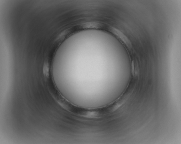 X0000110770157200906291055