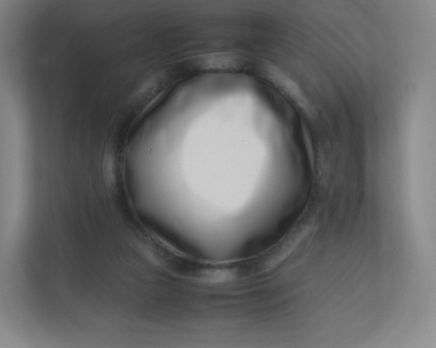 X0000110770161200906291055