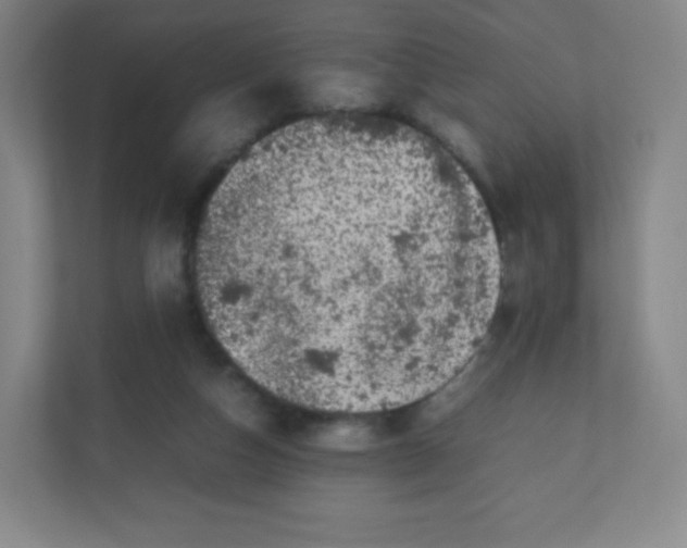 X0000110770162200906291055