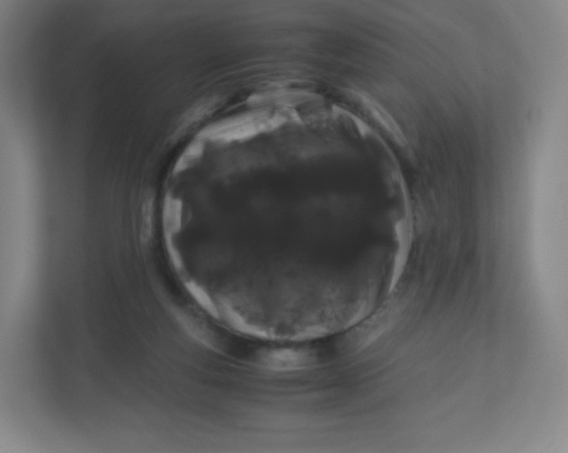 X0000110770163200906291055