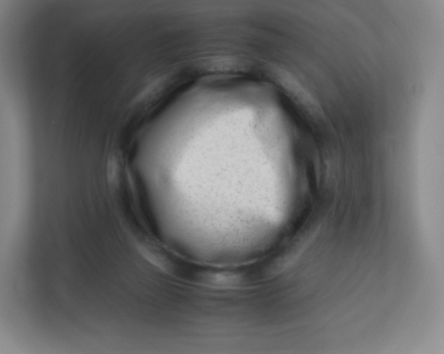 X0000110770165200906291055