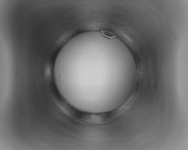 X0000110770166200906291055