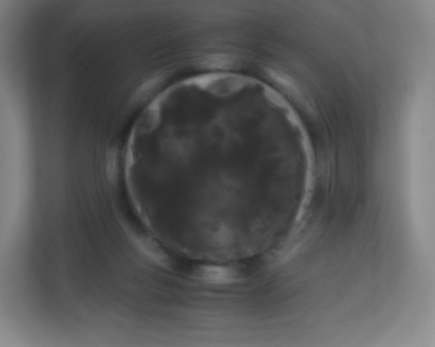 X0000110770167200906291055