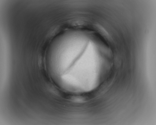 X0000110770169200906291055