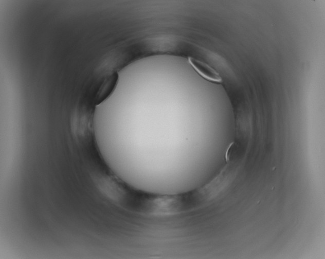 X0000110770172200906291055