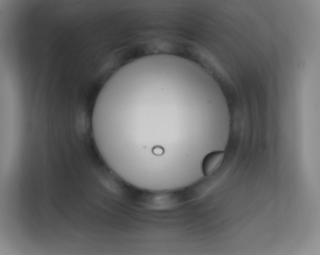 X0000110770173200906291055