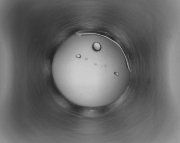 X0000110770174200906291055