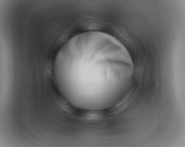 X0000110770175200906291055