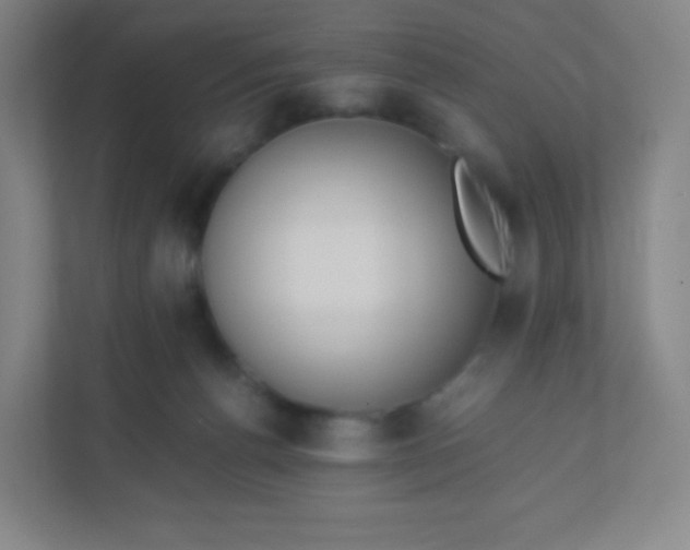 X0000110770176200906291055