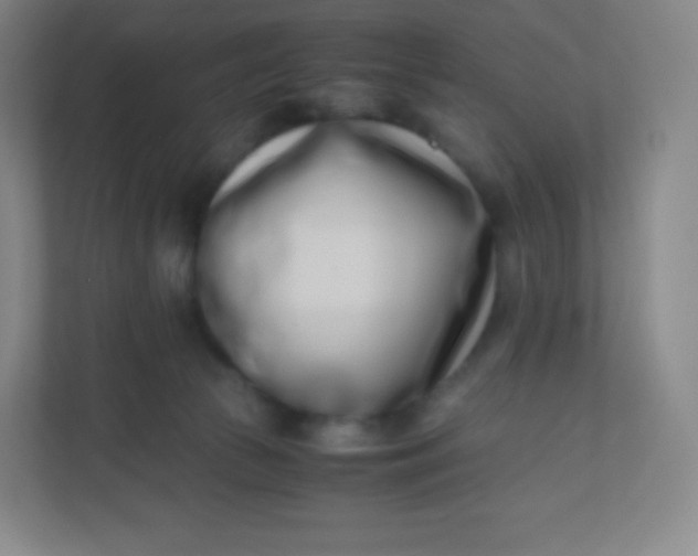 X0000110770177200906291055