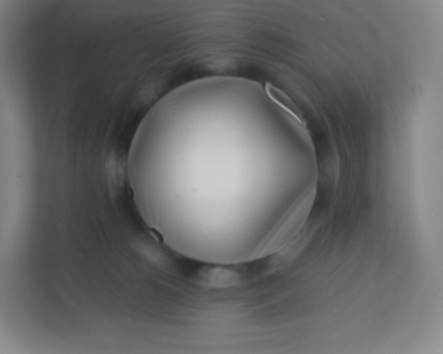 X0000110770180200906291055