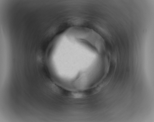 X0000110770181200906291055