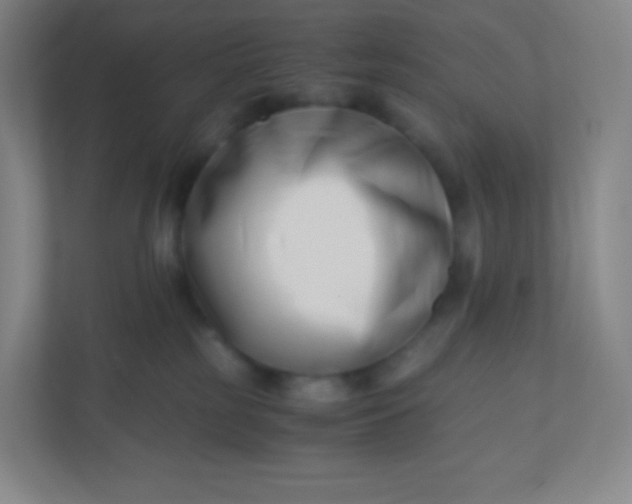 X0000110770185200906291055