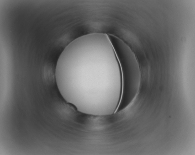 X0000110770186200906291055