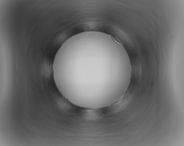 X0000110770188200906291055