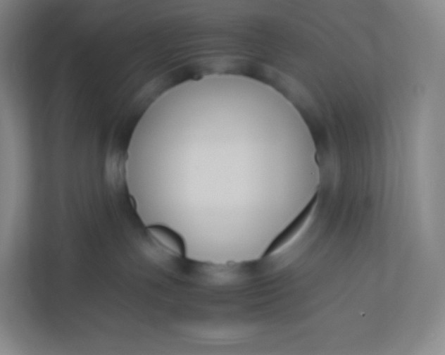 X0000110770191200906291055