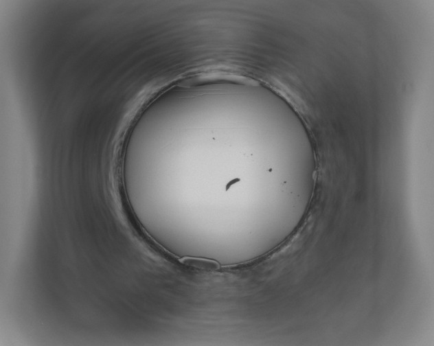 X0000110770193200906291055