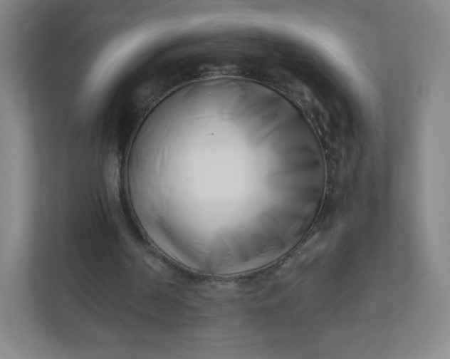 X0000110770194200906291055