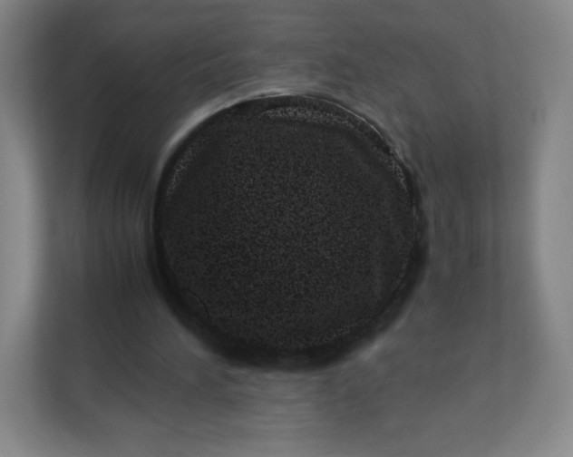 X0000110770196200906291055