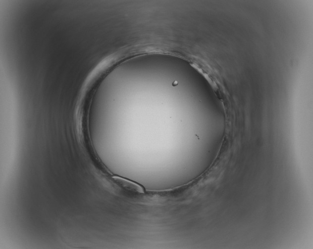 X0000110770197200906291055