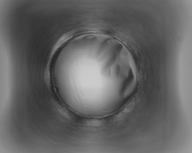 X0000110770198200906291055