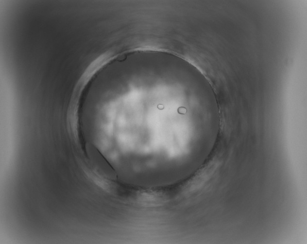 X0000110770199200906291055