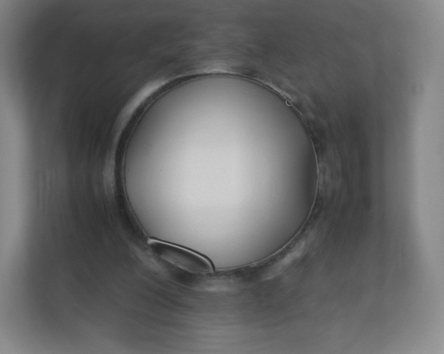 X0000110770200200906291055