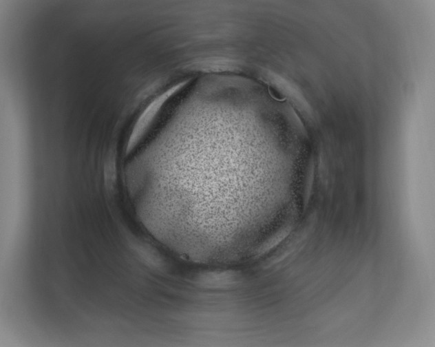 X0000110770202200906291055