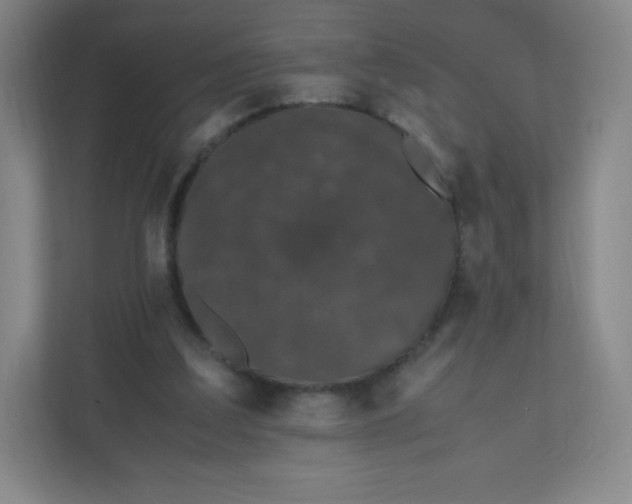 X0000110770203200906291055