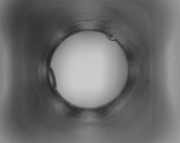 X0000110770207200906291055