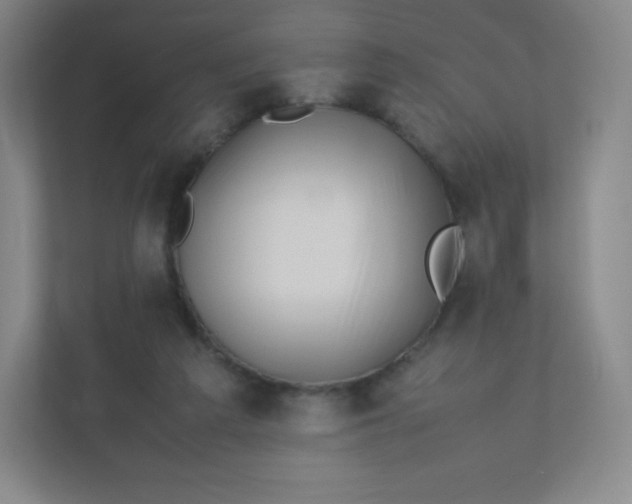 X0000110770209200906291055