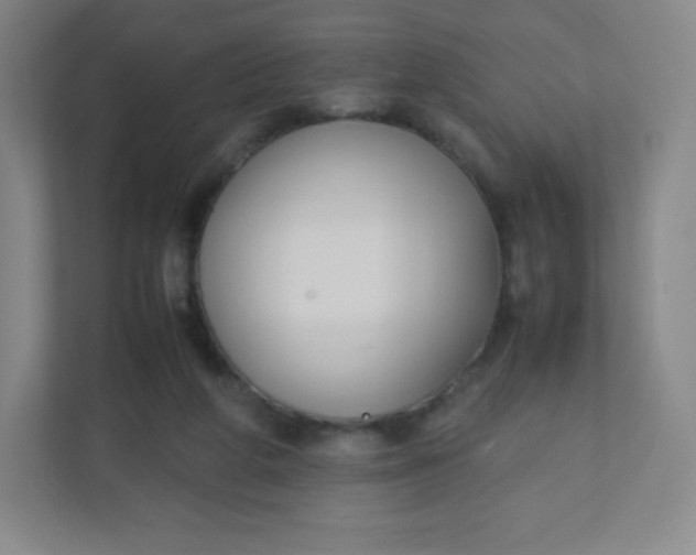 X0000110770210200906291055