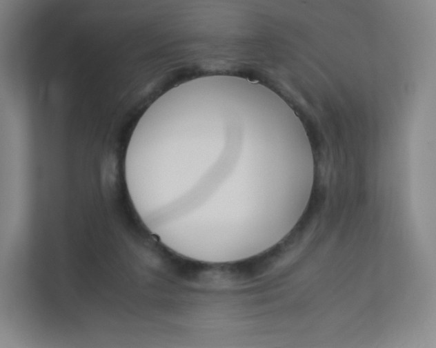 X0000110770211200906291055