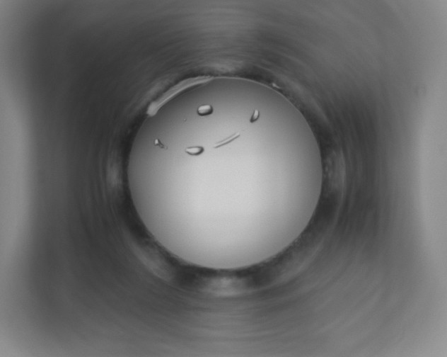 X0000110770212200906291055