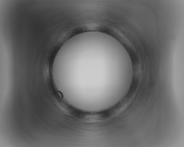 X0000110770213200906291055