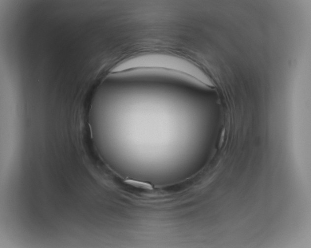 X0000110770215200906291055