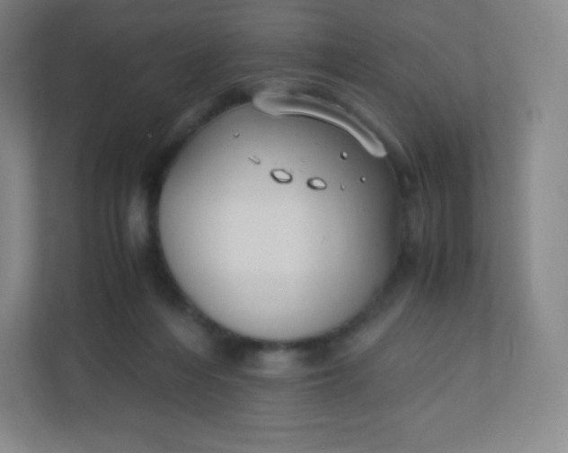 X0000110770216200906291055