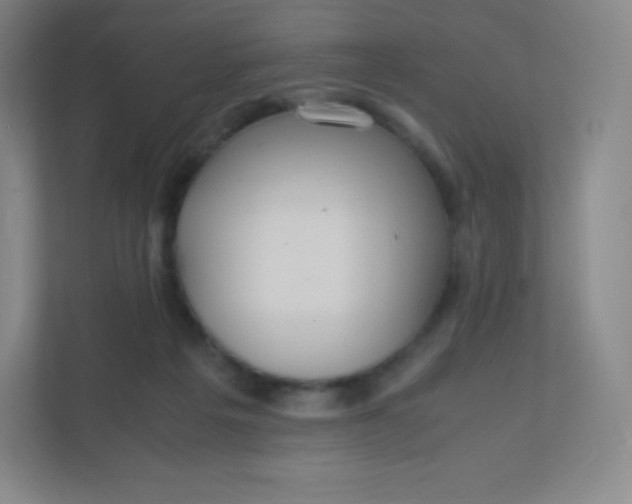 X0000110770217200906291055