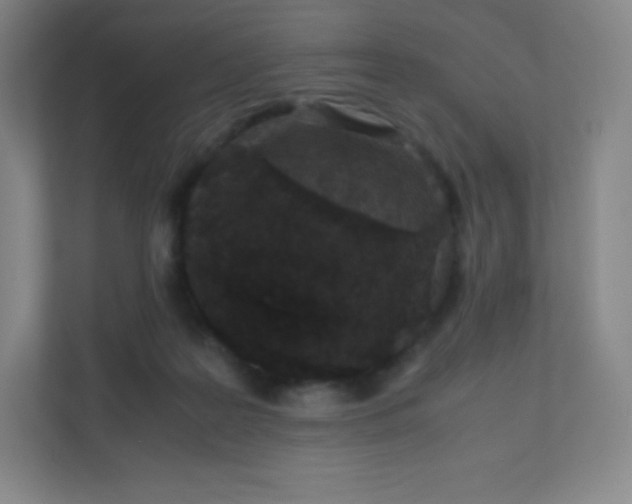 X0000110770219200906291055