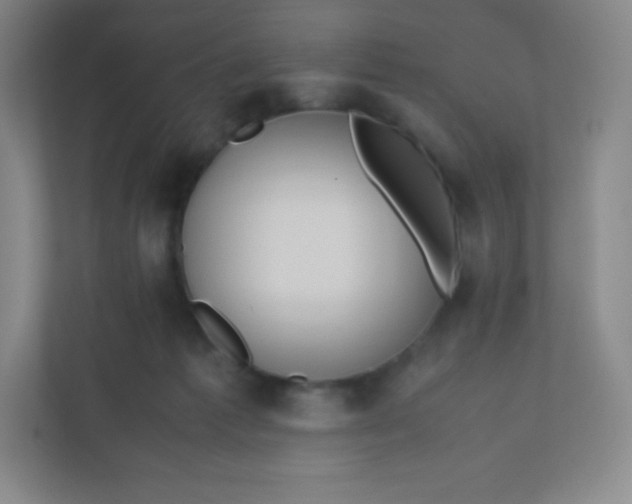 X0000110770221200906291054