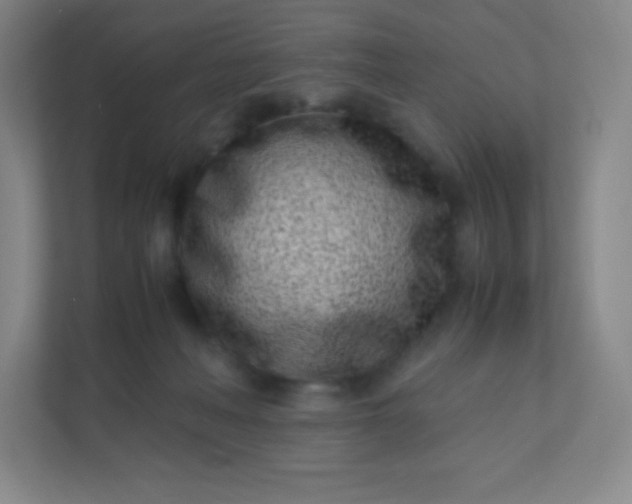 X0000110770222200906291054