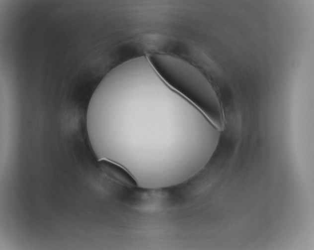 X0000110770225200906291054