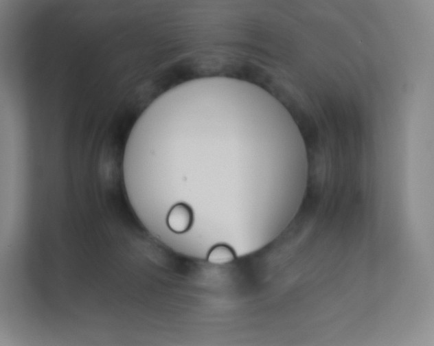 X0000110770226200906291054