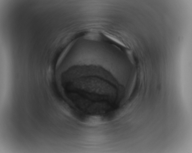 X0000110770227200906291054