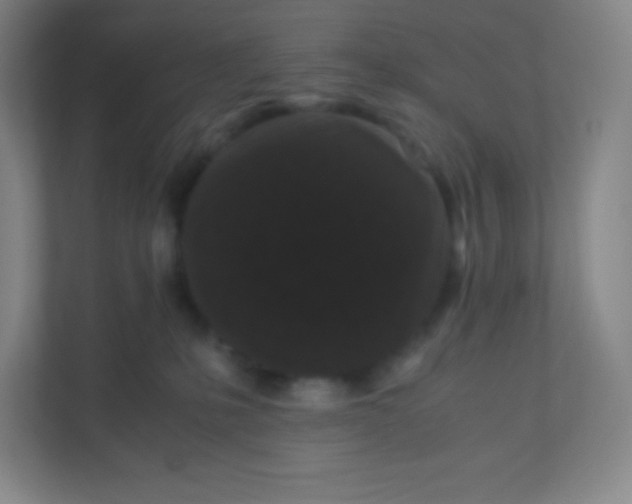 X0000110770231200906291054