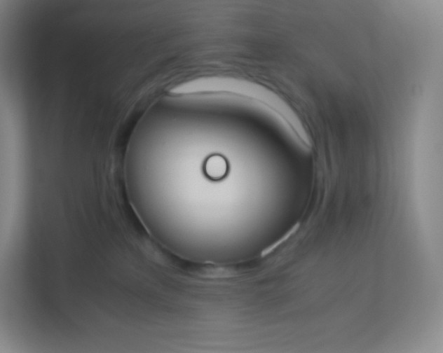 X0000110770233200906291054